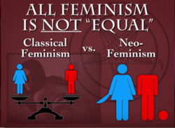 244_feminism.v.neofeminism.jpg