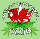 73_welsh.cannabis.club.jpeg
